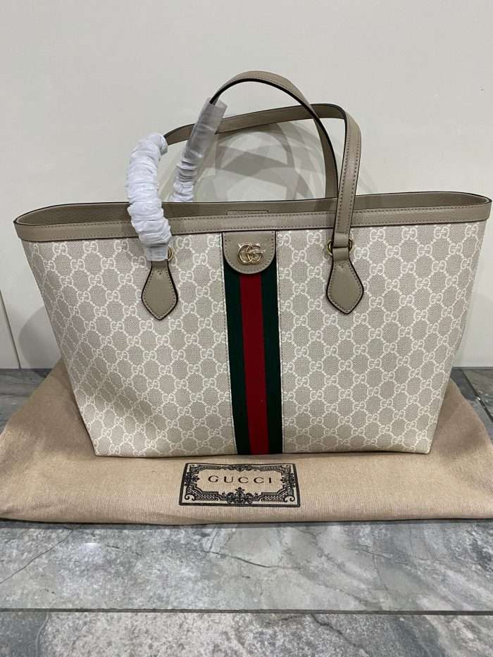 LUXURIOUS GUCCI LADYS BAG